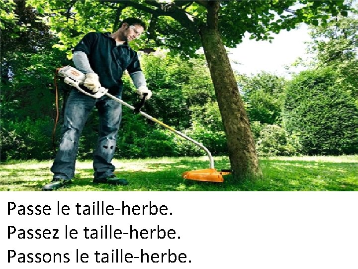 Passe le taille-herbe. Passez le taille-herbe. Passons le taille-herbe. 