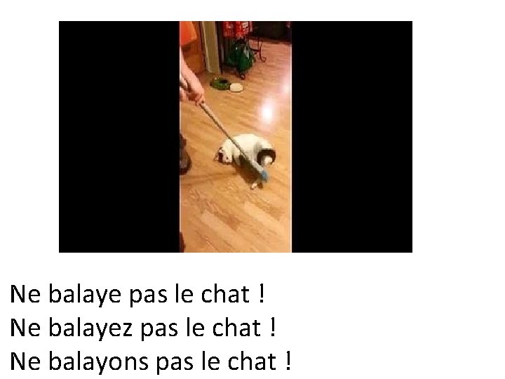 Ne balaye pas le chat ! Ne balayez pas le chat ! Ne balayons