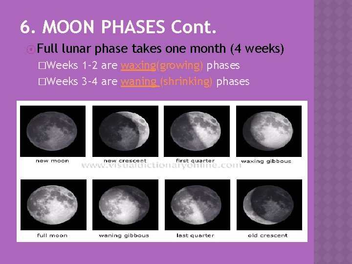 6. MOON PHASES Cont. ⦿ Full lunar phase takes one month (4 weeks) �Weeks