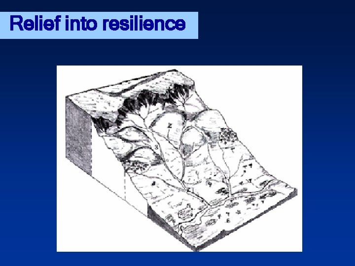 Relief into resilience 