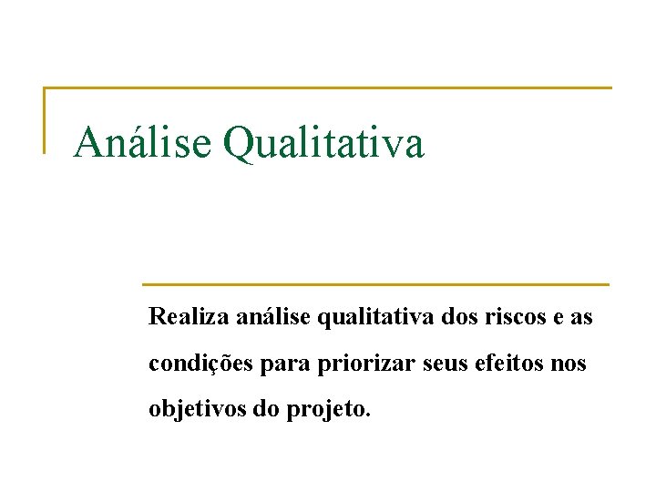 Análise Qualitativa Realiza análise qualitativa dos riscos e as condições para priorizar seus efeitos