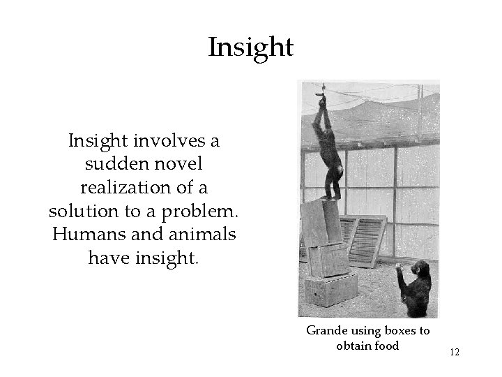 Insight involves a sudden novel realization of a solution to a problem. Humans and