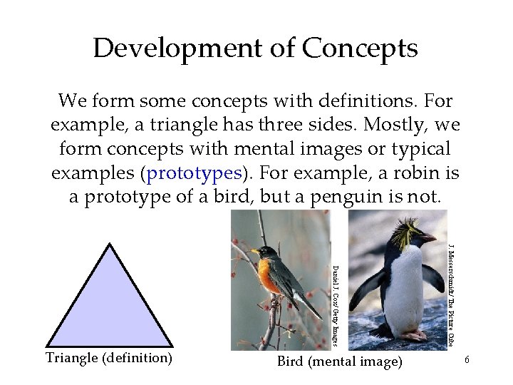 Development of Concepts We form some concepts with definitions. For example, a triangle has