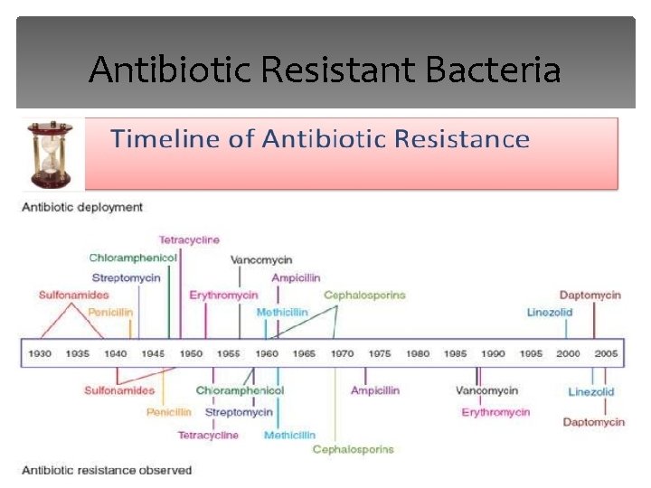Antibiotic Resistant Bacteria 