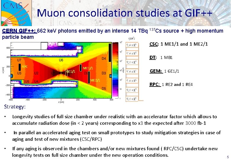 Muon consolidation studies at GIF++ CERN GIF++: 662 ke. V photons emitted by an