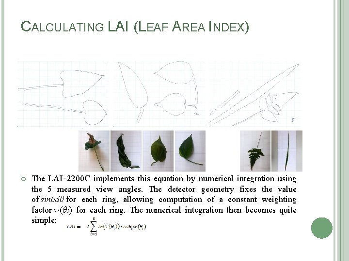 CALCULATING LAI (LEAF AREA INDEX) The LAI‑ 2200 C implements this equation by numerical