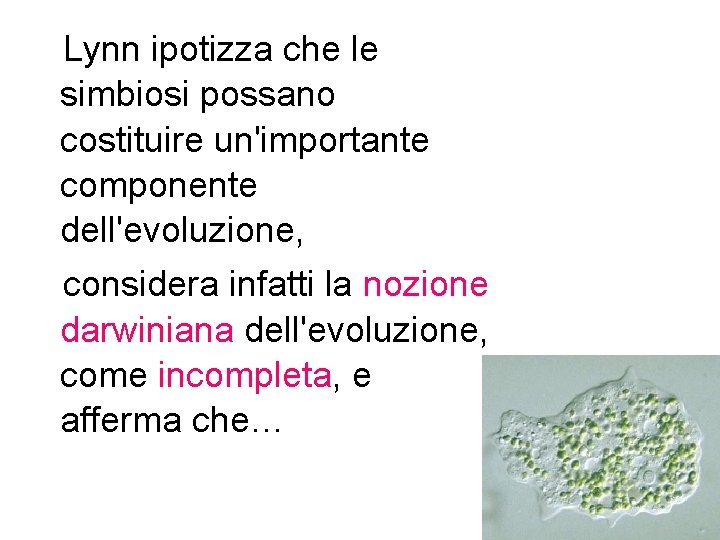 Lynn ipotizza che le simbiosi possano costituire un'importante componente dell'evoluzione, considera infatti la Lynn ipotizza che le simbiosi possano costituire un'importante componente dell'evoluzione, considera infatti la