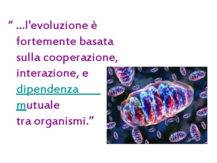 “ …l'evoluzione è fortemente basata sulla cooperazione, interazione, e dipendenza mutuale tra organismi. ” “ …l'evoluzione è fortemente basata sulla cooperazione, interazione, e dipendenza mutuale tra organismi. ”