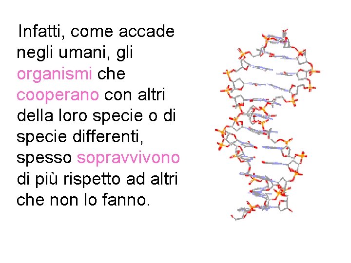 Infatti, come accade negli umani, gli organismi che cooperano con altri della loro Infatti, come accade negli umani, gli organismi che cooperano con altri della loro