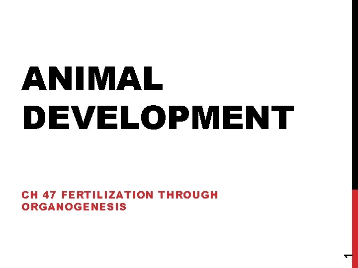 ANIMAL DEVELOPMENT 1 CH 47 FERTILIZATION THROUGH ORGANOGENESIS 