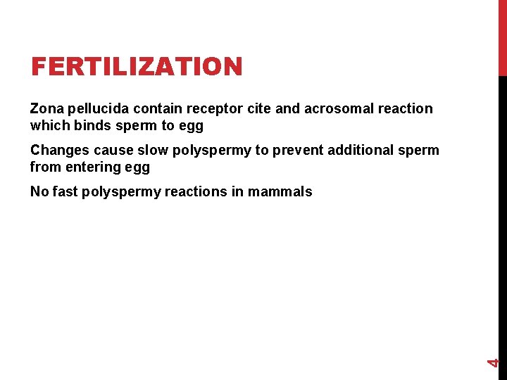 FERTILIZATION Zona pellucida contain receptor cite and acrosomal reaction which binds sperm to egg