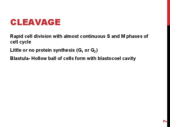 CLEAVAGE Rapid cell division with almost continuous S and M phases of cell cycle