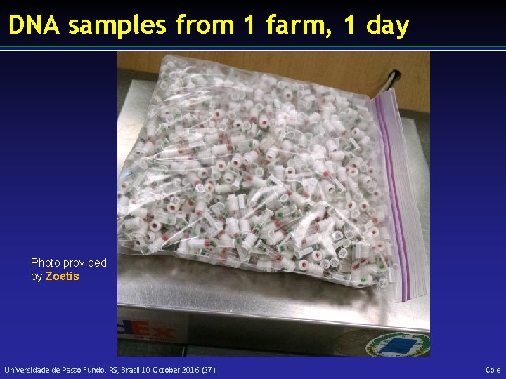 DNA samples from 1 farm, 1 day Photo provided by Zoetis Universidade de Passo