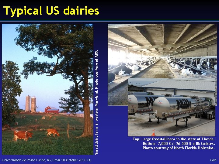 Small dairy farm in western Maryland. Photo courtesy of ARS. Typical US dairies Universidade