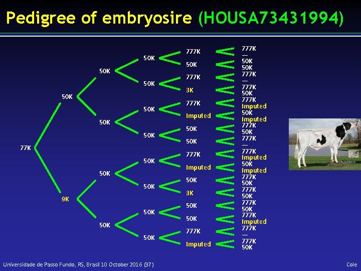 Pedigree of embryosire (HOUSA 73431994) 50 K 50 K 77 K 50 K 50