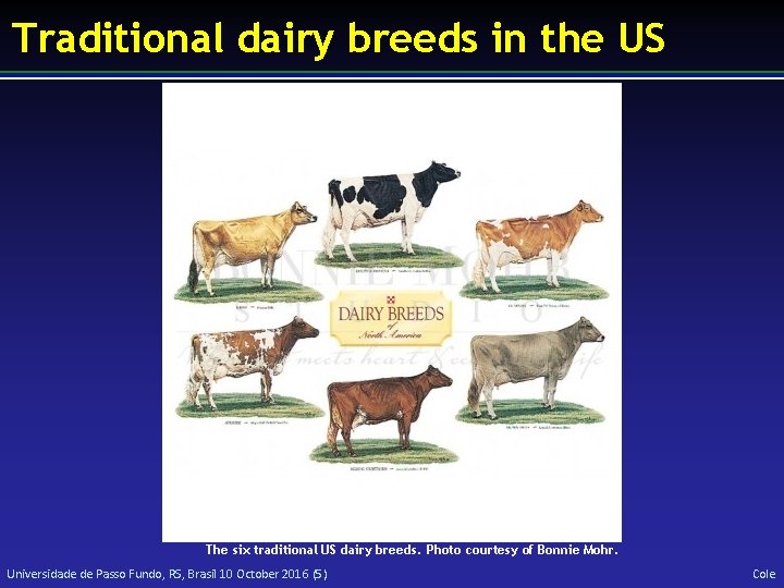 Traditional dairy breeds in the US The six traditional US dairy breeds. Photo courtesy