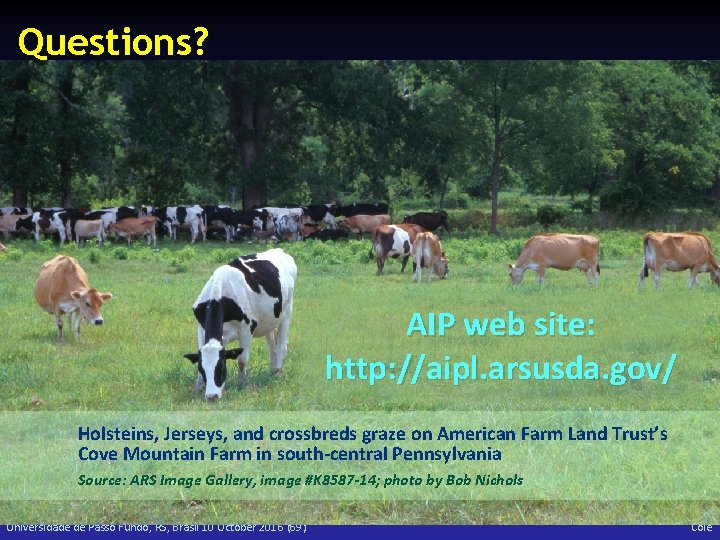 Questions? AIP web site: http: //aipl. arsusda. gov/ Holsteins, Jerseys, and crossbreds graze on