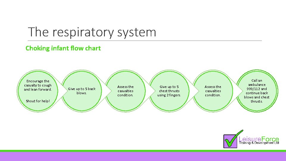 The respiratory system Choking infant flow chart Encourage the casualty to cough and lean