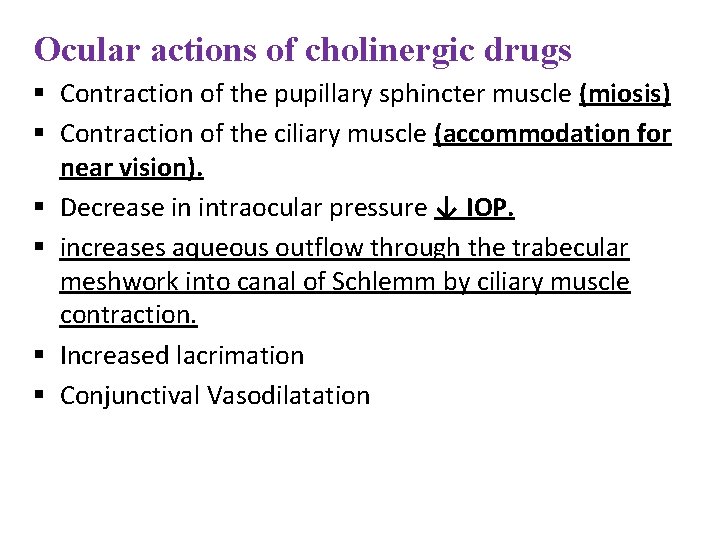 Ocular actions of cholinergic drugs § Contraction of the pupillary sphincter muscle (miosis) § Ocular actions of cholinergic drugs § Contraction of the pupillary sphincter muscle (miosis) §