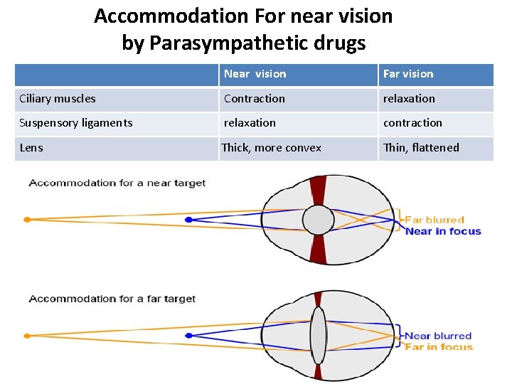 Accommodation For near vision by Parasympathetic drugs Near vision Far vision Ciliary muscles Contraction