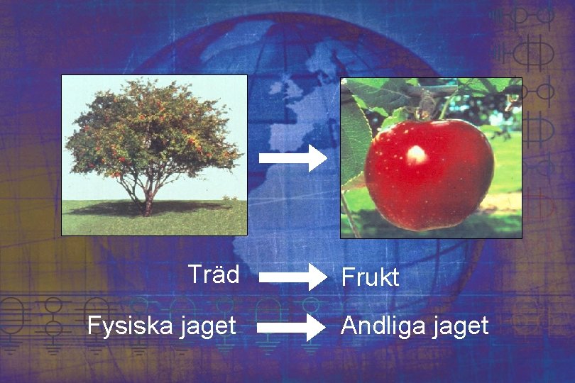 Träd Fysiska jaget Frukt Andliga jaget 