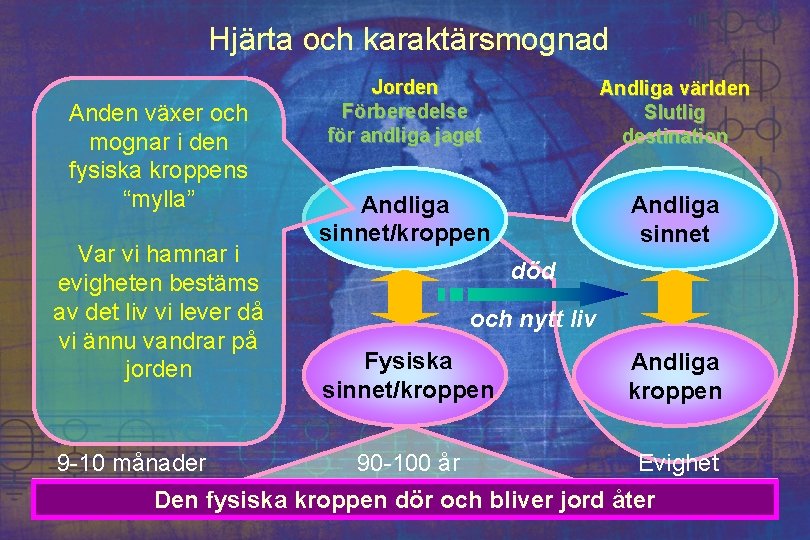 Hjärta och karaktärsmognad Anden växer och mognar i den fysiska kroppens “mylla” Var vi