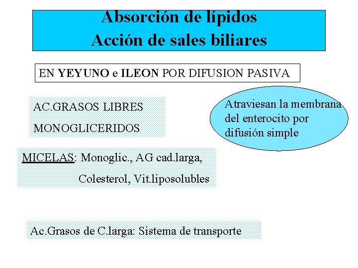 Absorción de lípidos Acción de sales biliares EN YEYUNO e ILEON POR DIFUSION PASIVA