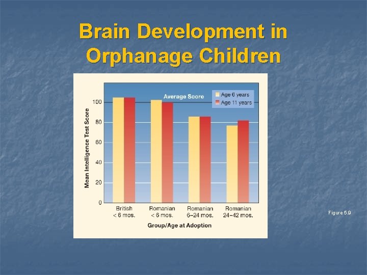 Brain Development in Orphanage Children Figure 5. 9 