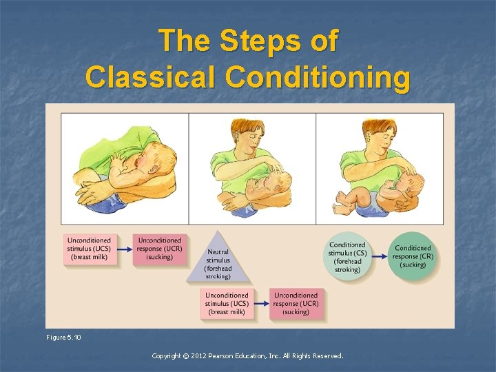 The Steps of Classical Conditioning Figure 5. 10 Copyright © 2012 Pearson Education, Inc.