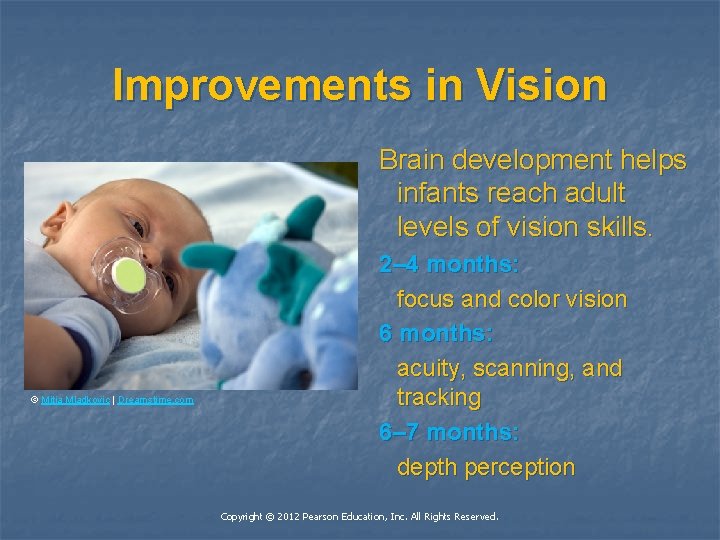 Improvements in Vision Brain development helps infants reach adult levels of vision skills. ©