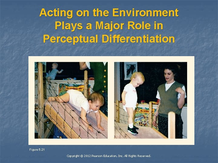 Acting on the Environment Plays a Major Role in Perceptual Differentiation Figure 5. 21