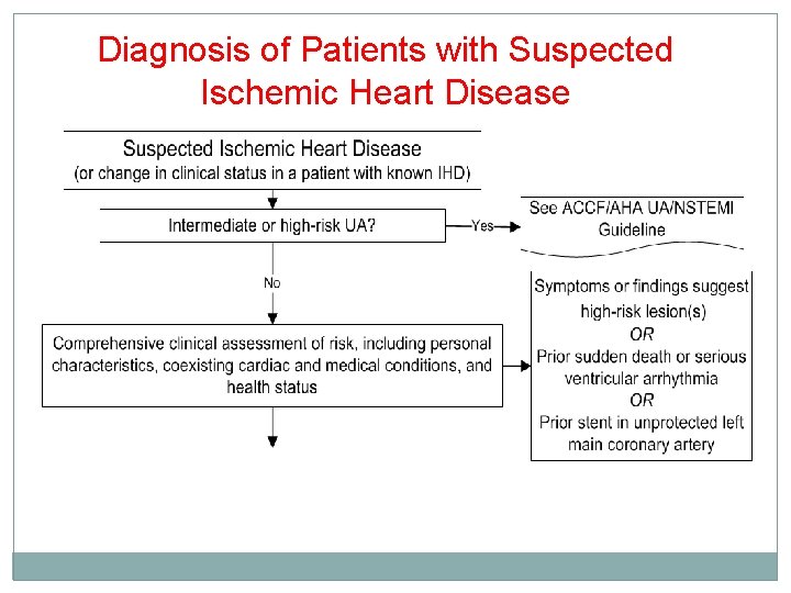 Diagnosis of Patients with Suspected Ischemic Heart Disease 