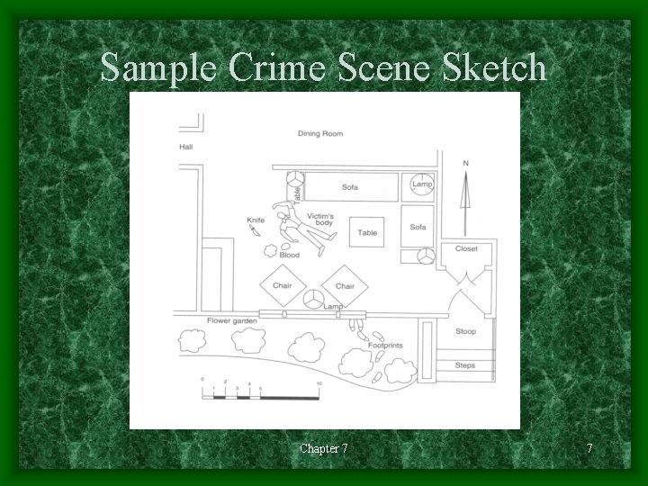 Sample Crime Scene Sketch Chapter 7 7 