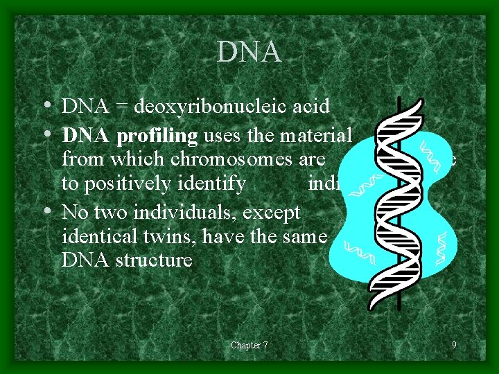 DNA • DNA = deoxyribonucleic acid • DNA profiling uses the material from which