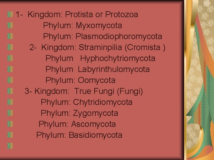 1 - Kingdom: Protista or Protozoa Phylum: Myxomycota Phylum: Plasmodiophoromycota 2 - Kingdom: Straminpilia