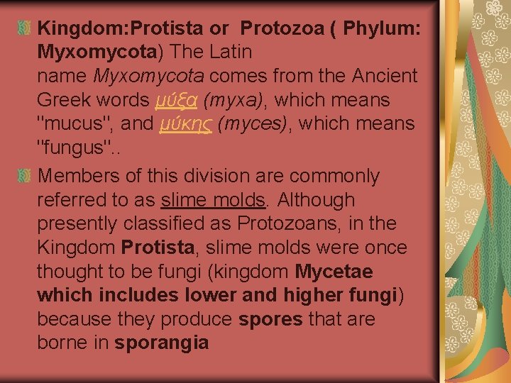 Kingdom: Protista or Protozoa ( Phylum: Myxomycota) The Latin name Myxomycota comes from the