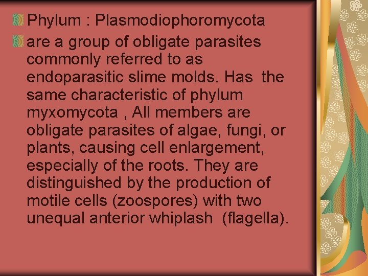 Phylum : Plasmodiophoromycota are a group of obligate parasites commonly referred to as endoparasitic