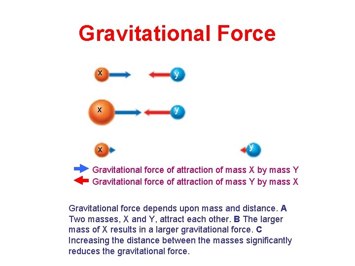 Gravitational Force x y x y Gravitational force of attraction of mass X by