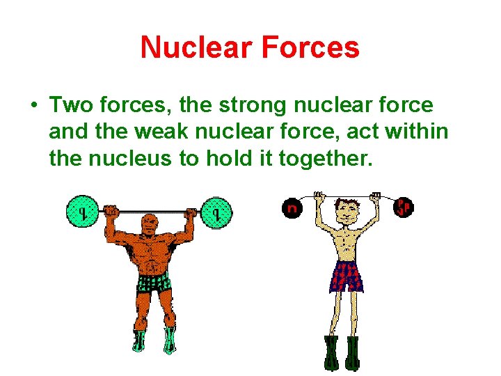 Nuclear Forces • Two forces, the strong nuclear force and the weak nuclear force,