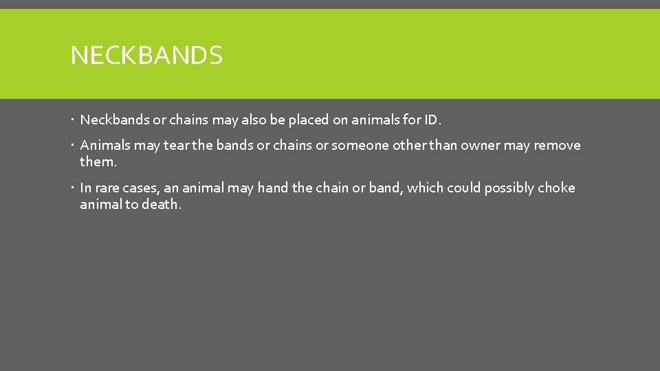 NECKBANDS Neckbands or chains may also be placed on animals for ID. Animals may