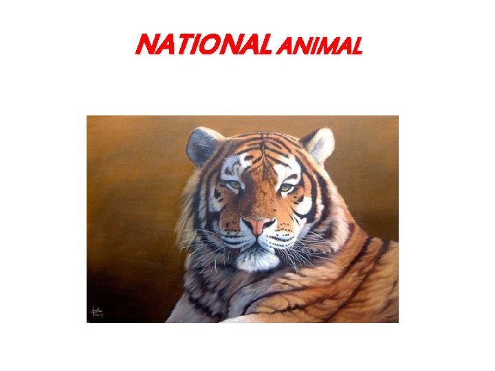 NATIONAL ANIMAL 