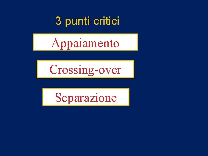 3 punti critici Appaiamento Crossing-over Separazione 
