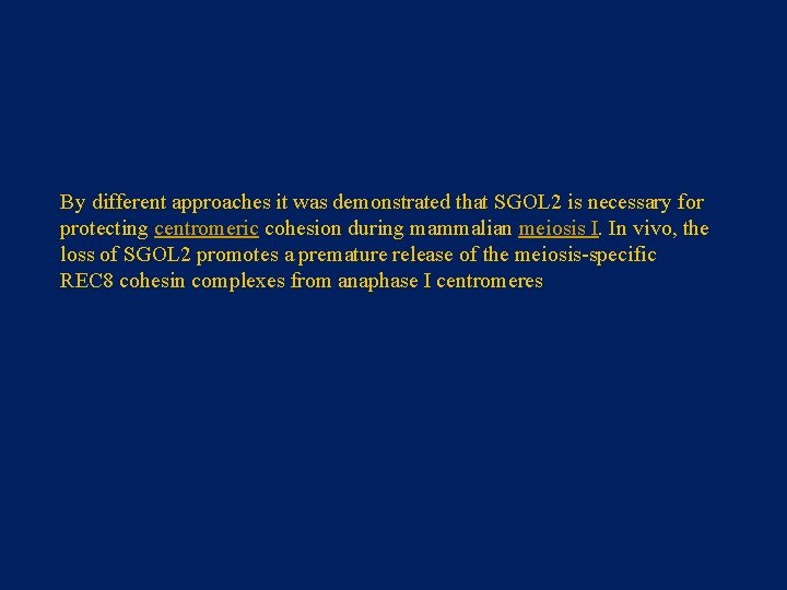 By different approaches it was demonstrated that SGOL 2 is necessary for protecting centromeric