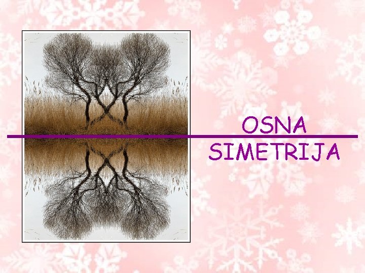 OSNA SIMETRIJA OSNA SIMETRIJA