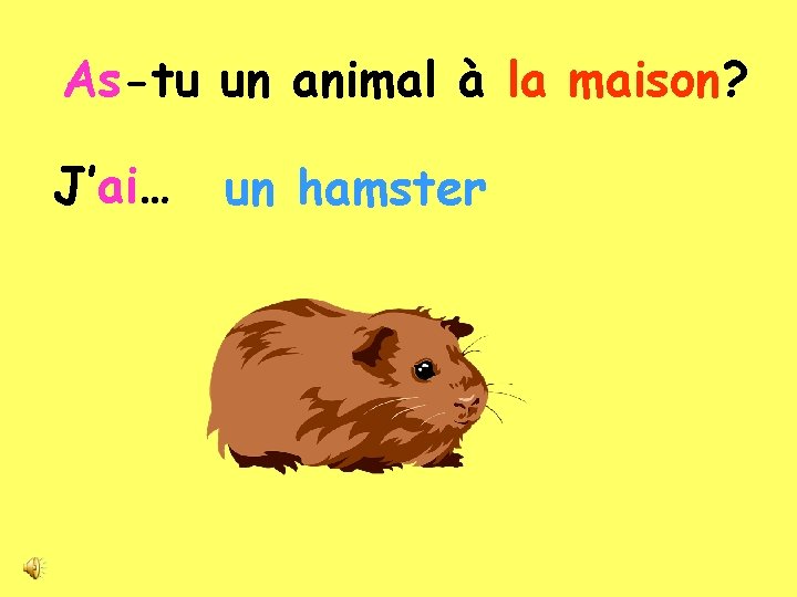 As-tu un animal à la maison? J’ai… un hamster 