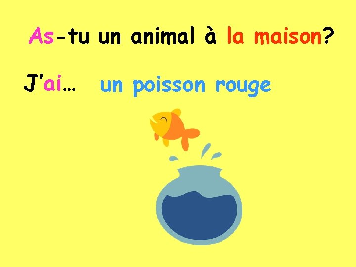 As-tu un animal à la maison? J’ai… un poisson rouge 