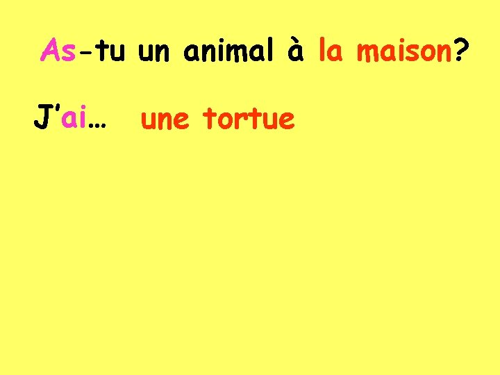As-tu un animal à la maison? J’ai… une tortue 