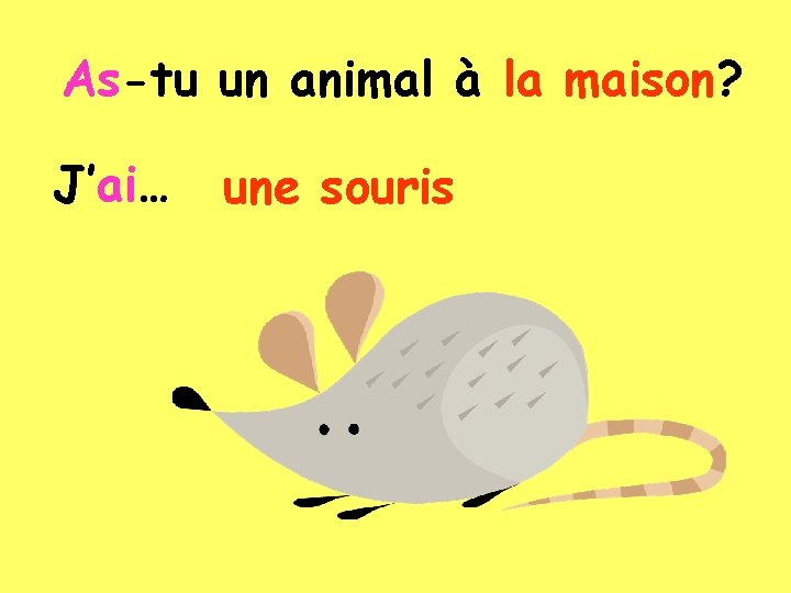As-tu un animal à la maison? J’ai… une souris 