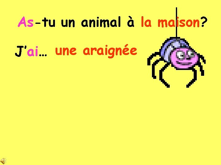As-tu un animal à la maison? J’ai… une araignée 