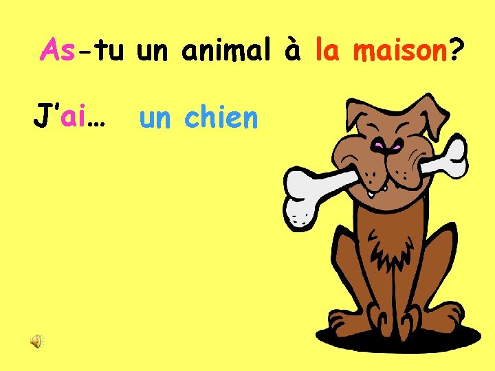 As-tu un animal à la maison? J’ai… un chien 